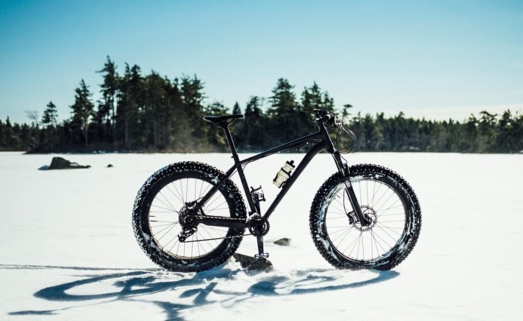czy warto kupić rower fatbike