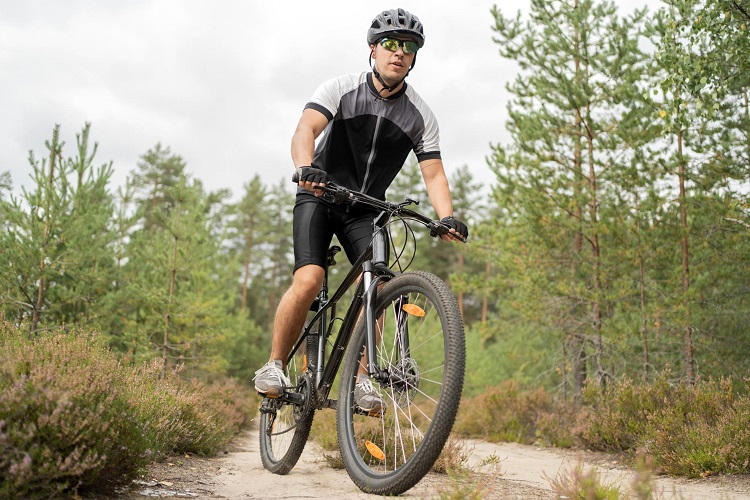 kaski mtb artykul