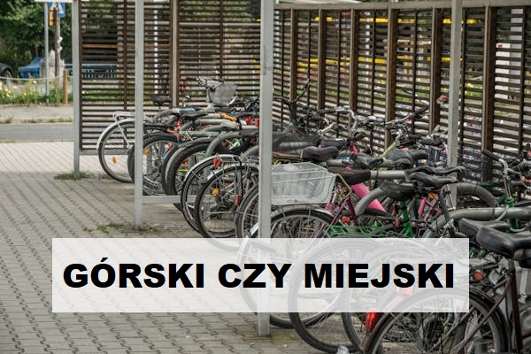 rower górski czy miejski