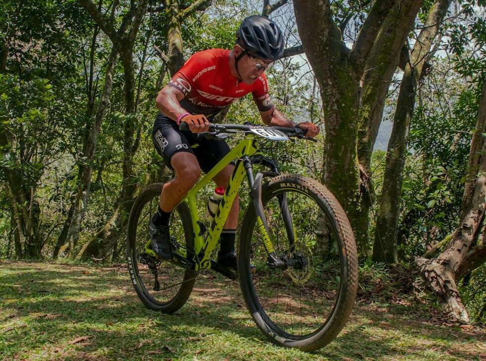 giant czy scott